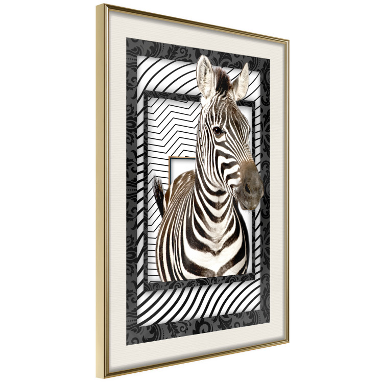 Wall Poster Zebra - black and white composition with a striped mammal on a patterned background 116437 additionalImage 4