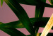 Canvas A floral twist - a minimalist photo of a leaf detail in pink 118937 additionalThumb 5