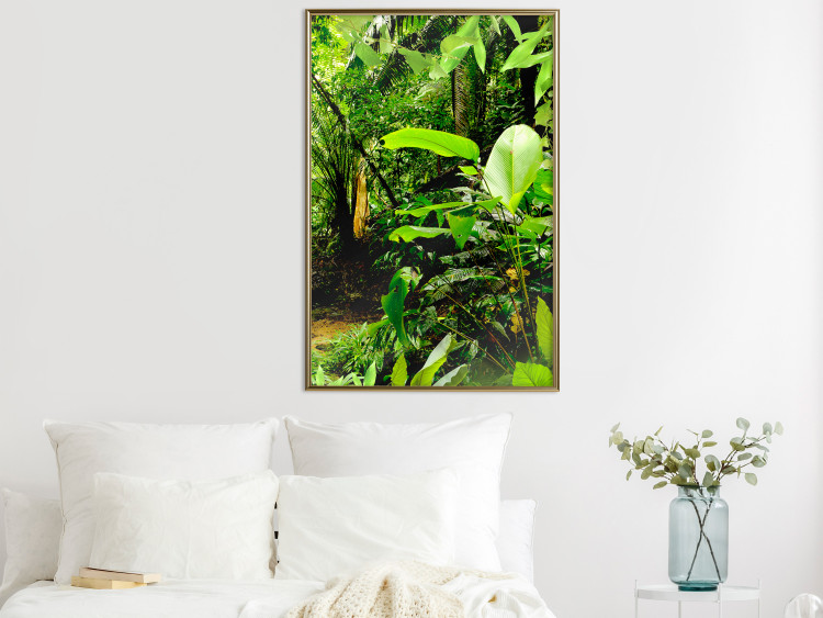 Poster Lungs of the Earth - jungle landscape scenery with lush green leaves 123937 additionalImage 5