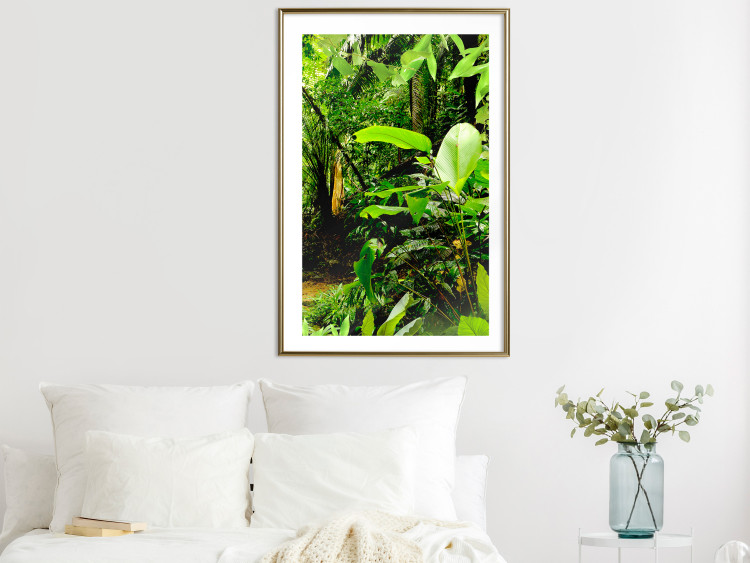 Poster Lungs of the Earth - jungle landscape scenery with lush green leaves 123937 additionalImage 13