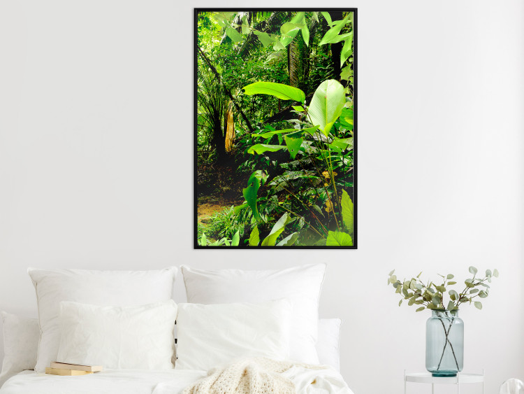 Poster Lungs of the Earth - jungle landscape scenery with lush green leaves 123937 additionalImage 3