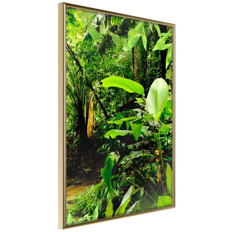 Poster Lungs of the Earth - jungle landscape scenery with lush green leaves 123937 additionalImage 12