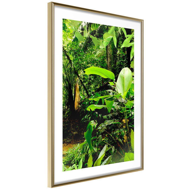 Poster Lungs of the Earth - jungle landscape scenery with lush green leaves 123937 additionalImage 6