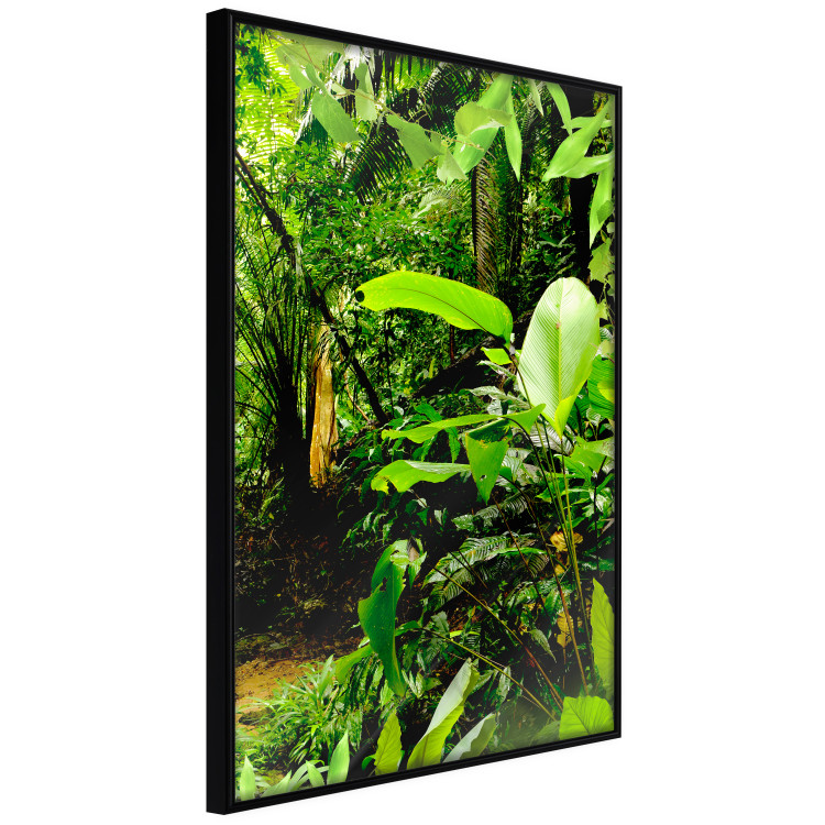Poster Lungs of the Earth - jungle landscape scenery with lush green leaves 123937 additionalImage 10