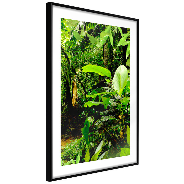 Poster Lungs of the Earth - jungle landscape scenery with lush green leaves 123937 additionalImage 11