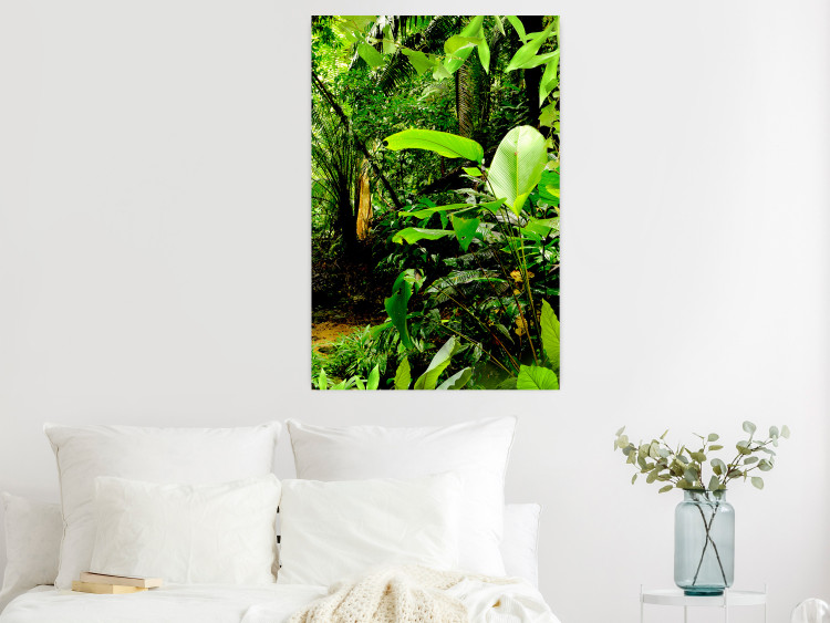 Poster Lungs of the Earth - jungle landscape scenery with lush green leaves 123937 additionalImage 16