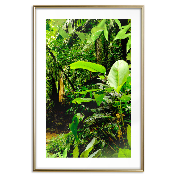 Poster Lungs of the Earth - jungle landscape scenery with lush green leaves 123937 additionalImage 14