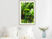 Poster Lungs of the Earth - jungle landscape scenery with lush green leaves 123937 additionalThumb 13