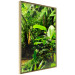 Poster Lungs of the Earth - jungle landscape scenery with lush green leaves 123937 additionalThumb 12
