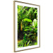 Poster Lungs of the Earth - jungle landscape scenery with lush green leaves 123937 additionalThumb 6