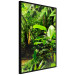 Poster Lungs of the Earth - jungle landscape scenery with lush green leaves 123937 additionalThumb 10