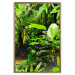 Poster Lungs of the Earth - jungle landscape scenery with lush green leaves 123937 additionalThumb 20