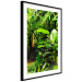 Poster Lungs of the Earth - jungle landscape scenery with lush green leaves 123937 additionalThumb 11