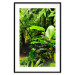 Poster Lungs of the Earth - jungle landscape scenery with lush green leaves 123937 additionalThumb 15