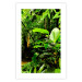 Poster Lungs of the Earth - jungle landscape scenery with lush green leaves 123937 additionalThumb 19