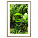 Poster Lungs of the Earth - jungle landscape scenery with lush green leaves 123937 additionalThumb 14