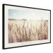 Wall Poster Golden Field - landscape of a field full of golden grain against the sky 129837 additionalThumb 2