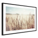Wall Poster Golden Field - landscape of a field full of golden grain against the sky 129837 additionalThumb 6