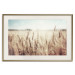 Wall Poster Golden Field - landscape of a field full of golden grain against the sky 129837 additionalThumb 20