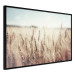 Wall Poster Golden Field - landscape of a field full of golden grain against the sky 129837 additionalThumb 13
