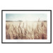 Wall Poster Golden Field - landscape of a field full of golden grain against the sky 129837 additionalThumb 15