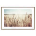Wall Poster Golden Field - landscape of a field full of golden grain against the sky 129837 additionalThumb 16