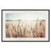 Wall Poster Golden Field - landscape of a field full of golden grain against the sky 129837 additionalThumb 19