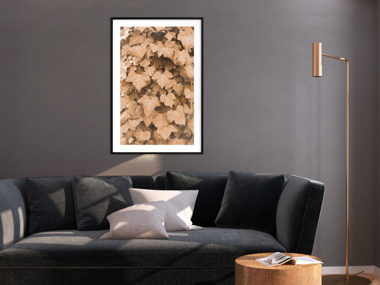Poster Autumn Ivy - composition of leaves on a hedge in sepia tones 131837 additionalImage 15