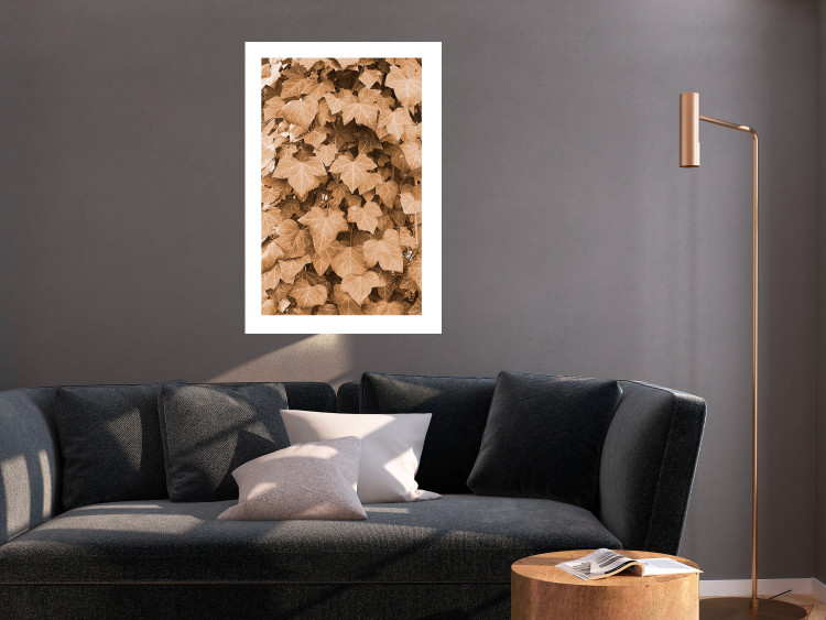 Poster Autumn Ivy - composition of leaves on a hedge in sepia tones 131837 additionalImage 3