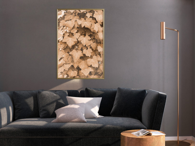 Poster Autumn Ivy - composition of leaves on a hedge in sepia tones 131837 additionalImage 5