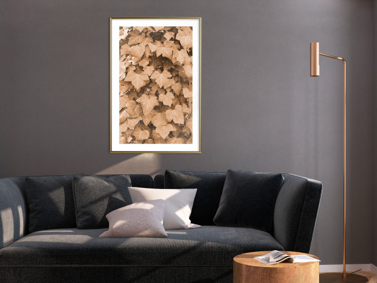 Poster Autumn Ivy - composition of leaves on a hedge in sepia tones 131837 additionalImage 13