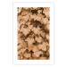 Poster Autumn Ivy - composition of leaves on a hedge in sepia tones 131837 additionalThumb 18