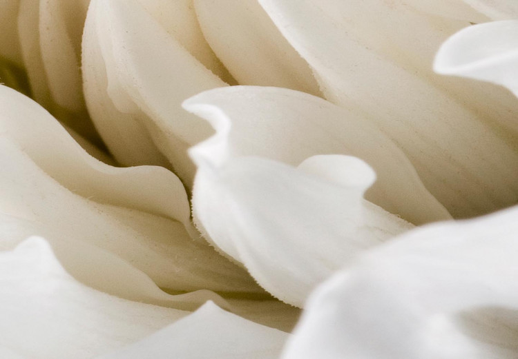Round Canvas White Flower - Unfolded Bud in Warm Cream Light 148737 additionalImage 2