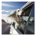 Canvas Print AI Dog English Setter - Animal Catching Air Rush While Traveling by Car - Square 150237 additionalThumb 7