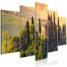 Canvas Tuscan Hills - Italian Landscape With Cottage and Sunny Fields 151837 additionalThumb 2