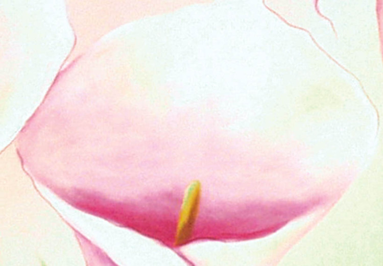 Canvas Art Print Light pink callas 48837 additionalImage 3