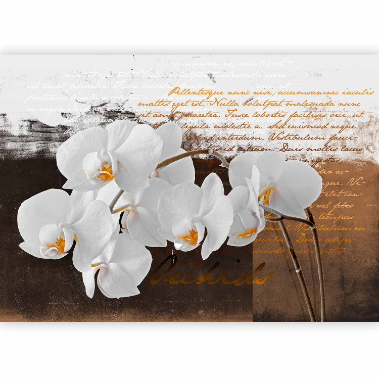 Photo Wallpaper Sentimental Thoughts - Orchid Flowers in a Modern Motif with Texts 60237 additionalImage 1