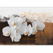 Photo Wallpaper Sentimental Thoughts - Orchid Flowers in a Modern Motif with Texts 60237 additionalThumb 5