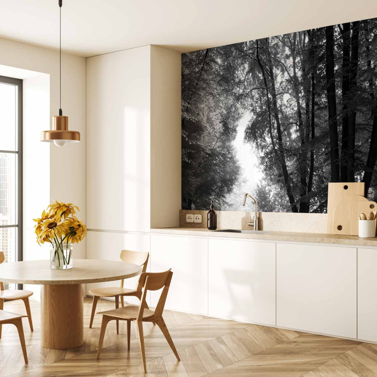 Wall Mural Longtime friends - black and white landscape park with a wide alley and old trees 90537 additionalImage 7
