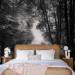 Wall Mural Longtime friends - black and white landscape park with a wide alley and old trees 90537 additionalThumb 2