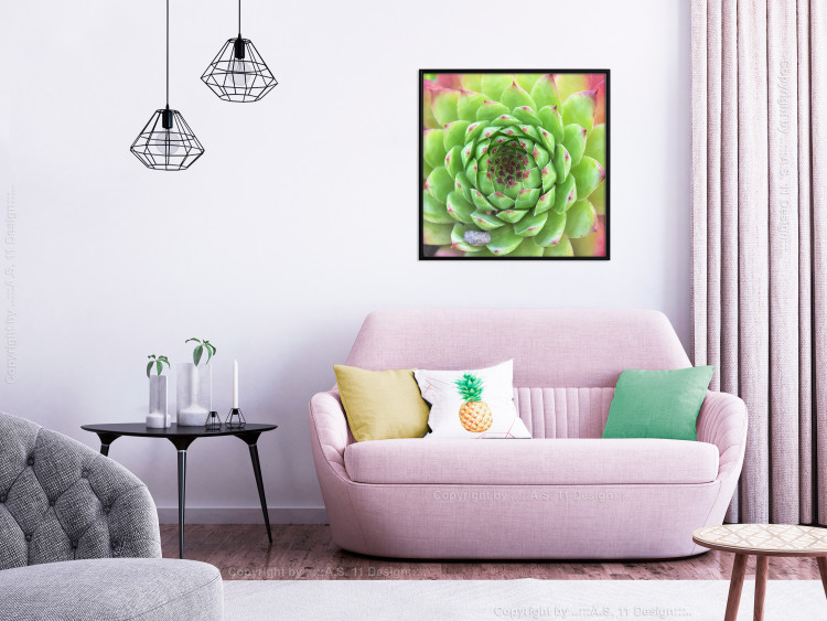 Poster Succulent (Square) - botanical composition with green-pink leaves 114447 additionalImage 9