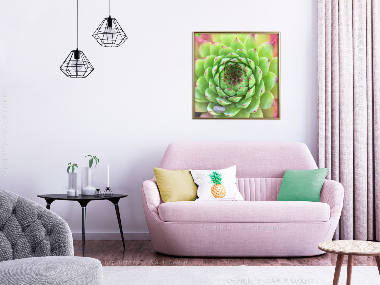 Poster Succulent (Square) - botanical composition with green-pink leaves 114447 additionalImage 10