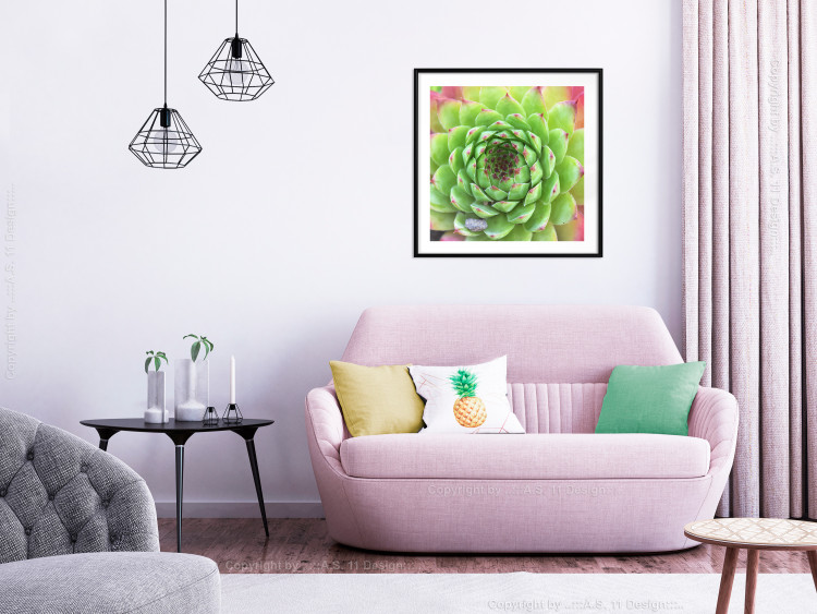 Poster Succulent (Square) - botanical composition with green-pink leaves 114447 additionalImage 18