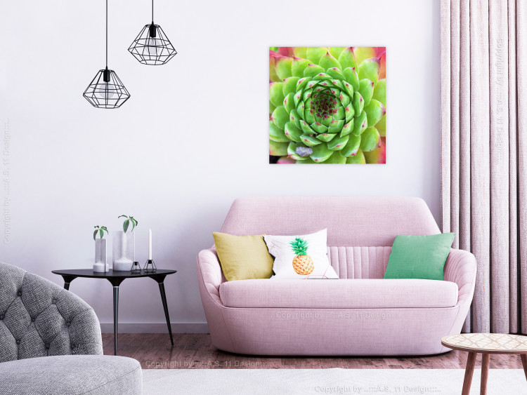 Poster Succulent (Square) - botanical composition with green-pink leaves 114447 additionalImage 7