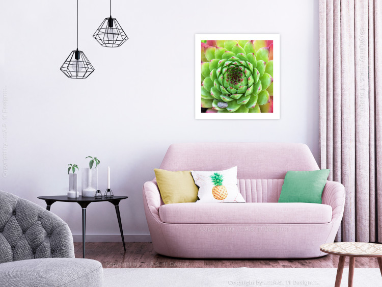 Poster Succulent (Square) - botanical composition with green-pink leaves 114447 additionalImage 8