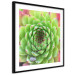 Poster Succulent (Square) - botanical composition with green-pink leaves 114447 additionalThumb 12