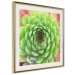 Poster Succulent (Square) - botanical composition with green-pink leaves 114447 additionalThumb 14