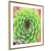 Poster Succulent (Square) - botanical composition with green-pink leaves 114447 additionalThumb 11