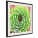 Poster Succulent (Square) - botanical composition with green-pink leaves 114447 additionalThumb 9