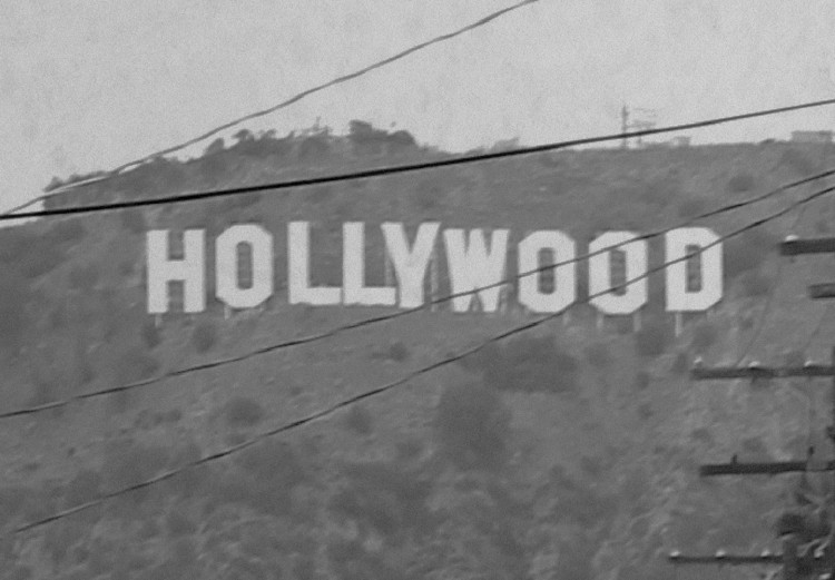 Wall Poster Hollywood - black and white cinematic shot among trees overlooking mountains 116347 additionalImage 8